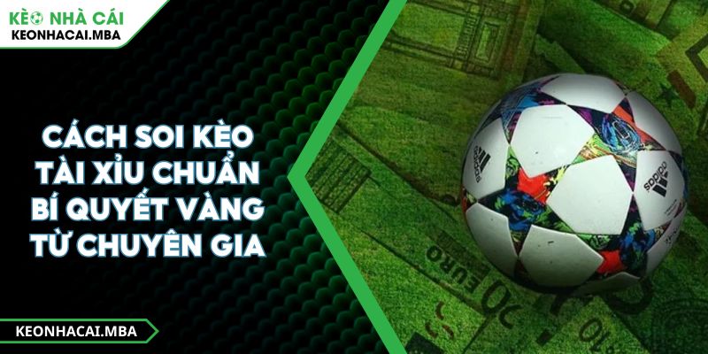 Cách Soi Kèo Tài Xỉu Chuẩn Bí Quyết Vàng Từ Chuyên Gia 1 Cách Soi Kèo Tài Xỉu Chuẩn Bí Quyết Vàng Từ Chuyên Gia