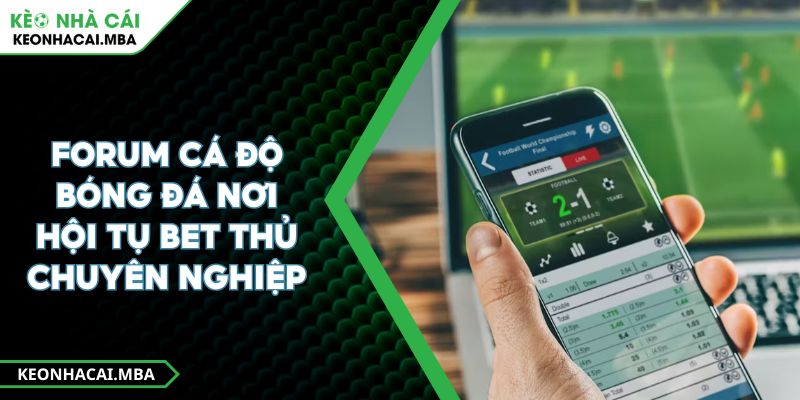 Forum Cá Độ Bóng Đá Nơi Hội Tụ Bet Thủ Chuyên Nghiệp