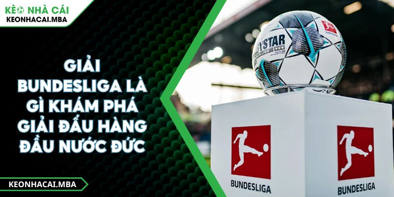 Giải Bundesliga Là Gì Khám Phá Giải Đấu Hàng Đầu Nước Đức 1 Giải Bundesliga Là Gì Khám Phá Giải Đấu Hàng Đầu Nước Đức