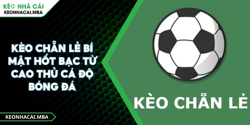 Kèo Chẵn Lẻ Bí Mật Hốt Bạc Từ Cao Thủ Cá Độ Bóng Đá