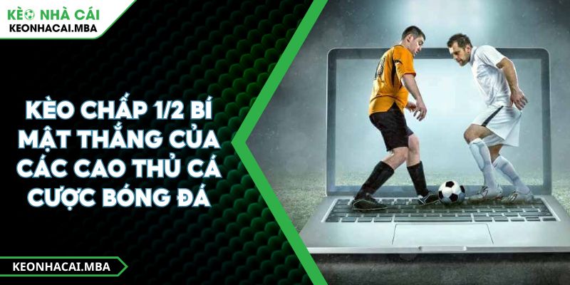 Kèo Chấp 1/2 Bí Mật Thắng Của Các Cao Thủ Cá Cược Bóng Đá 1 Kèo Chấp 1/2 Bí Mật Thắng Của Các Cao Thủ Cá Cược Bóng Đá