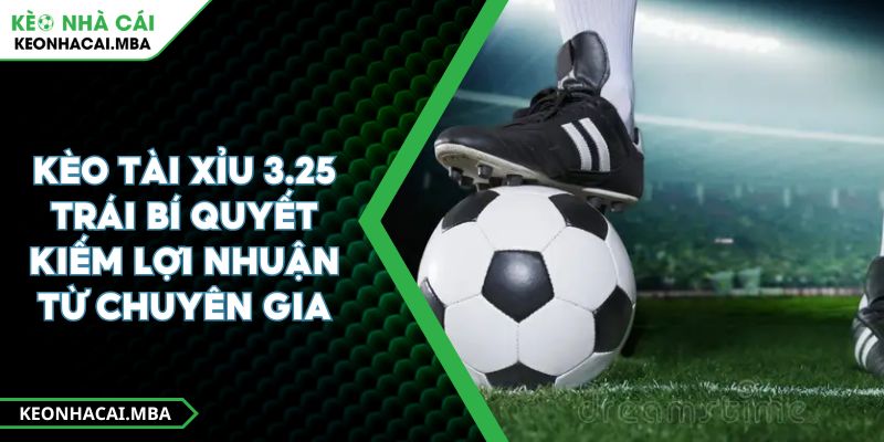 Kèo Tài Xỉu 3.25 Trái Bí Quyết Kiếm Lợi Nhuận Từ Chuyên Gia 1 Kèo Tài Xỉu 3.25 Trái Bí Quyết Kiếm Lợi Nhuận Từ Chuyên Gia