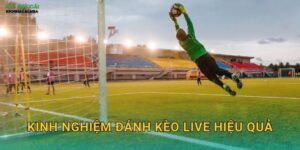 Kinh Nghiệm Đánh Kèo Live Hiệu Quả – Nắm Bắt Cơ Hội Trong Từng Phút Tại Kèo Nhà Cái MBA