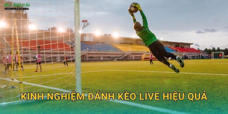 Kinh Nghiệm Đánh Kèo Live Hiệu Quả – Nắm Bắt Cơ Hội Trong Từng Phút Tại Kèo Nhà Cái MBA