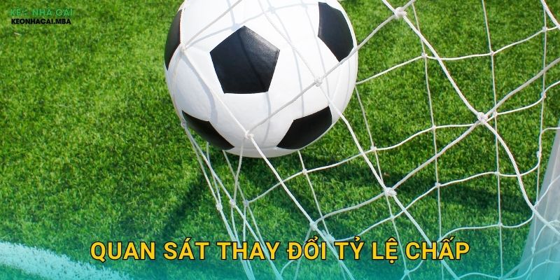 Quan Sát Thay Đổi Tỷ Lệ Chấp – Giải Mã Tín Hiệu Thị Trường Tại Keo nha cai MBA