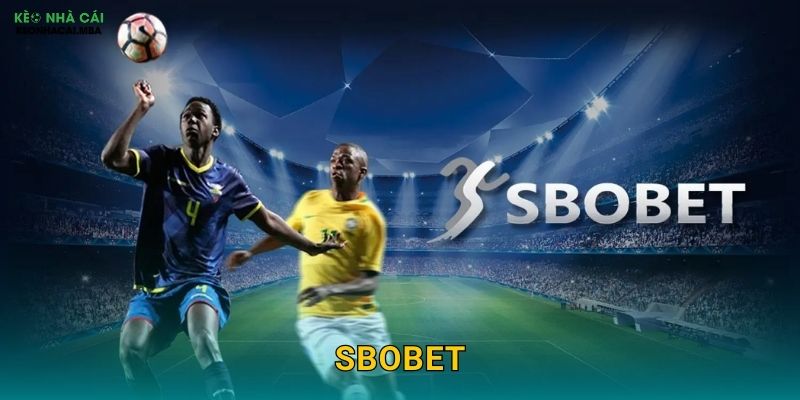 SBOBET – Ông Trùm Cá Cược Thể Thao Trong Mắt Kèo Nhà Cái